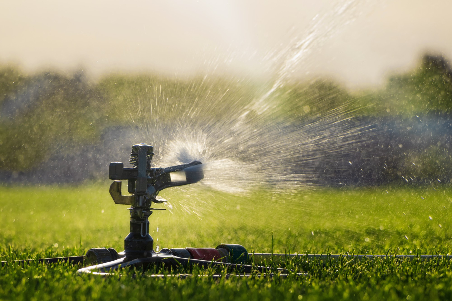 Lawn Care Background