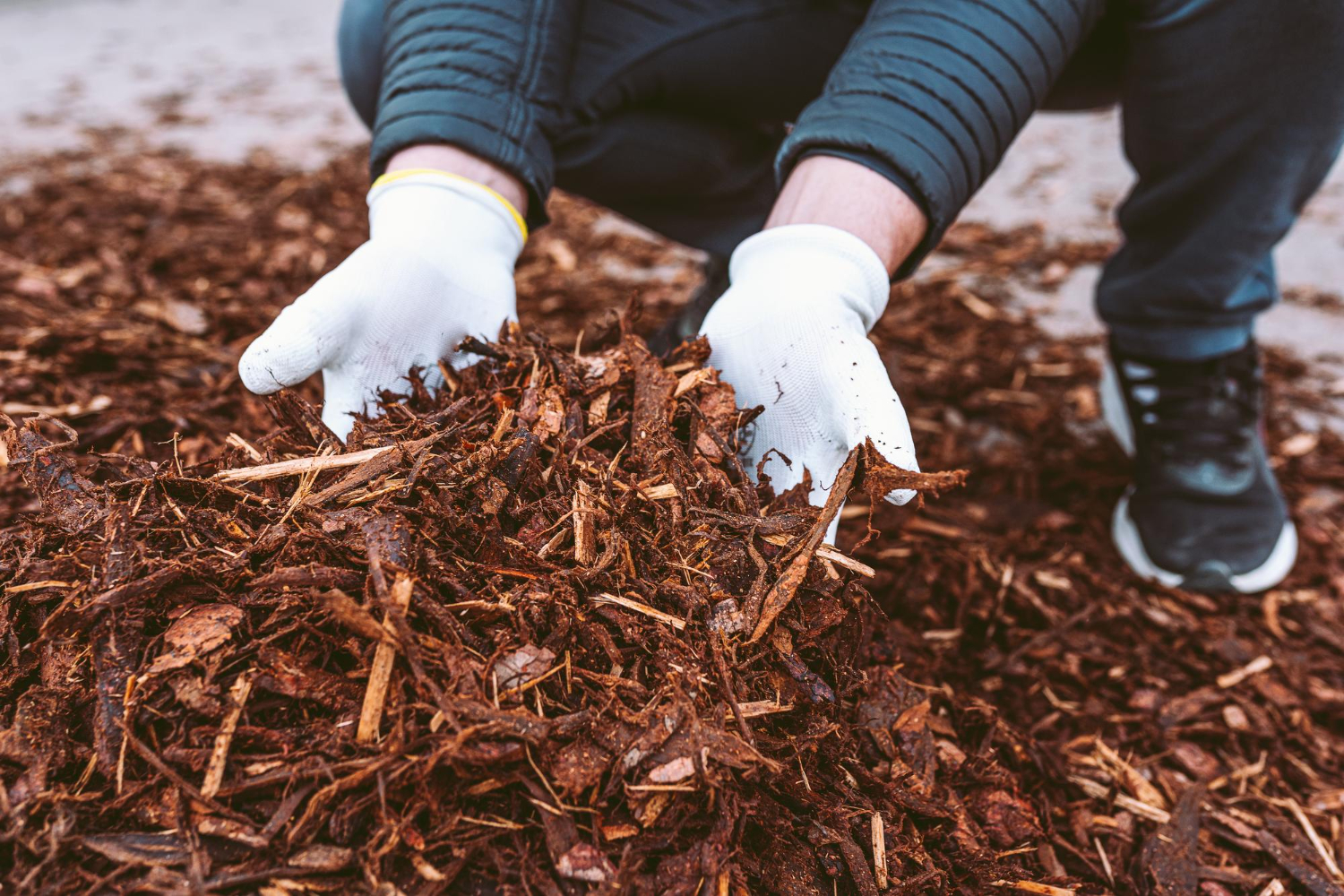 Lawn Care Background