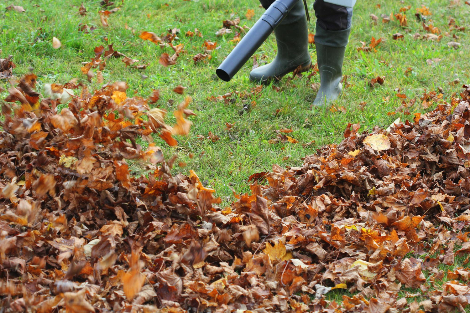 Lawn Care Background