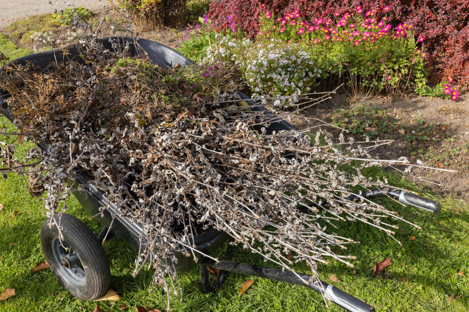 Lawn Care Background