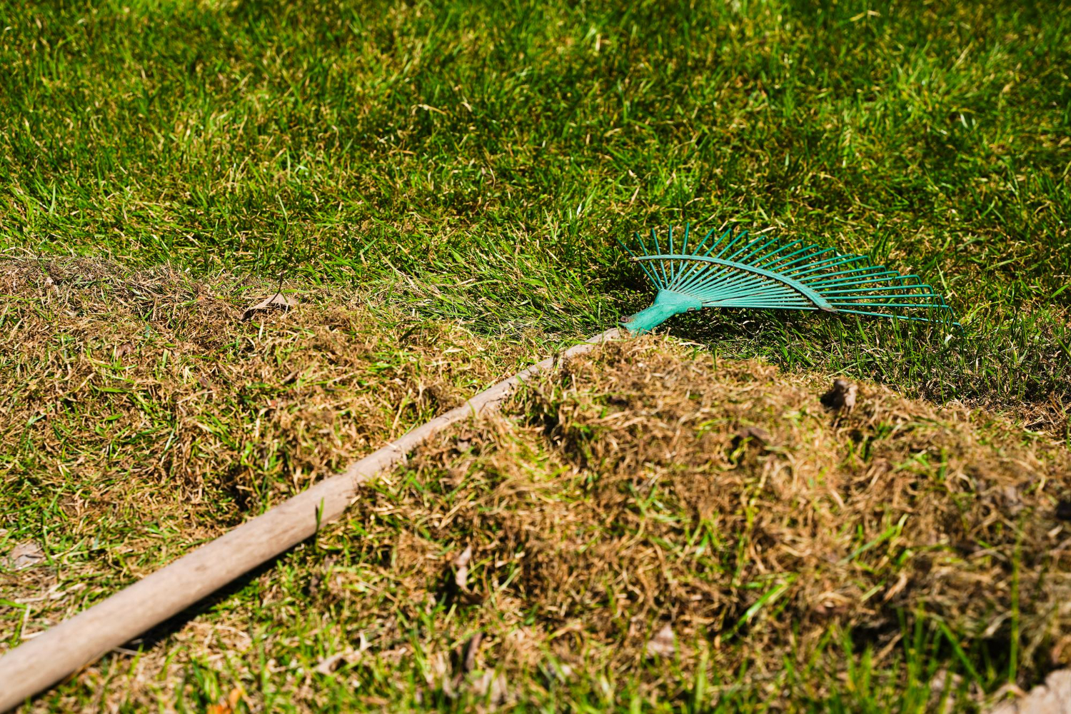 Lawn Care Background