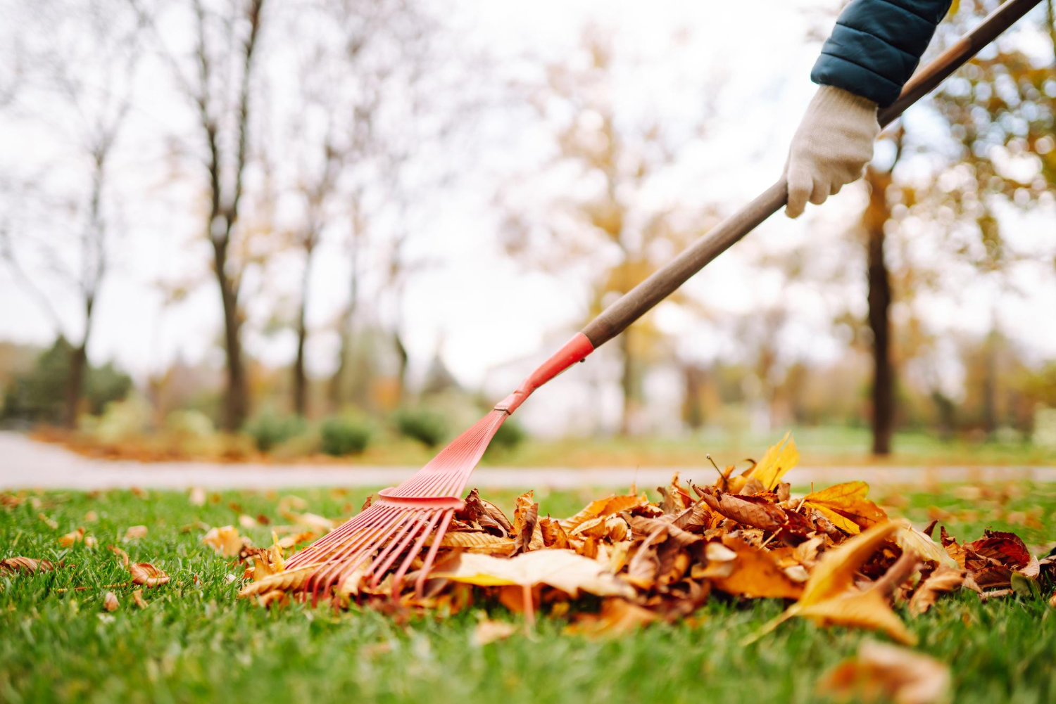 Lawn Care Background