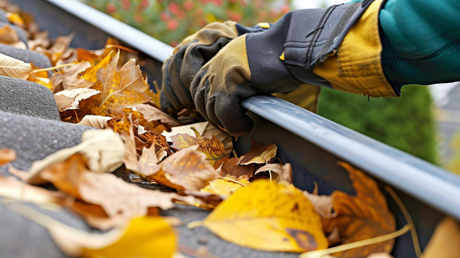 Lawn Care Background