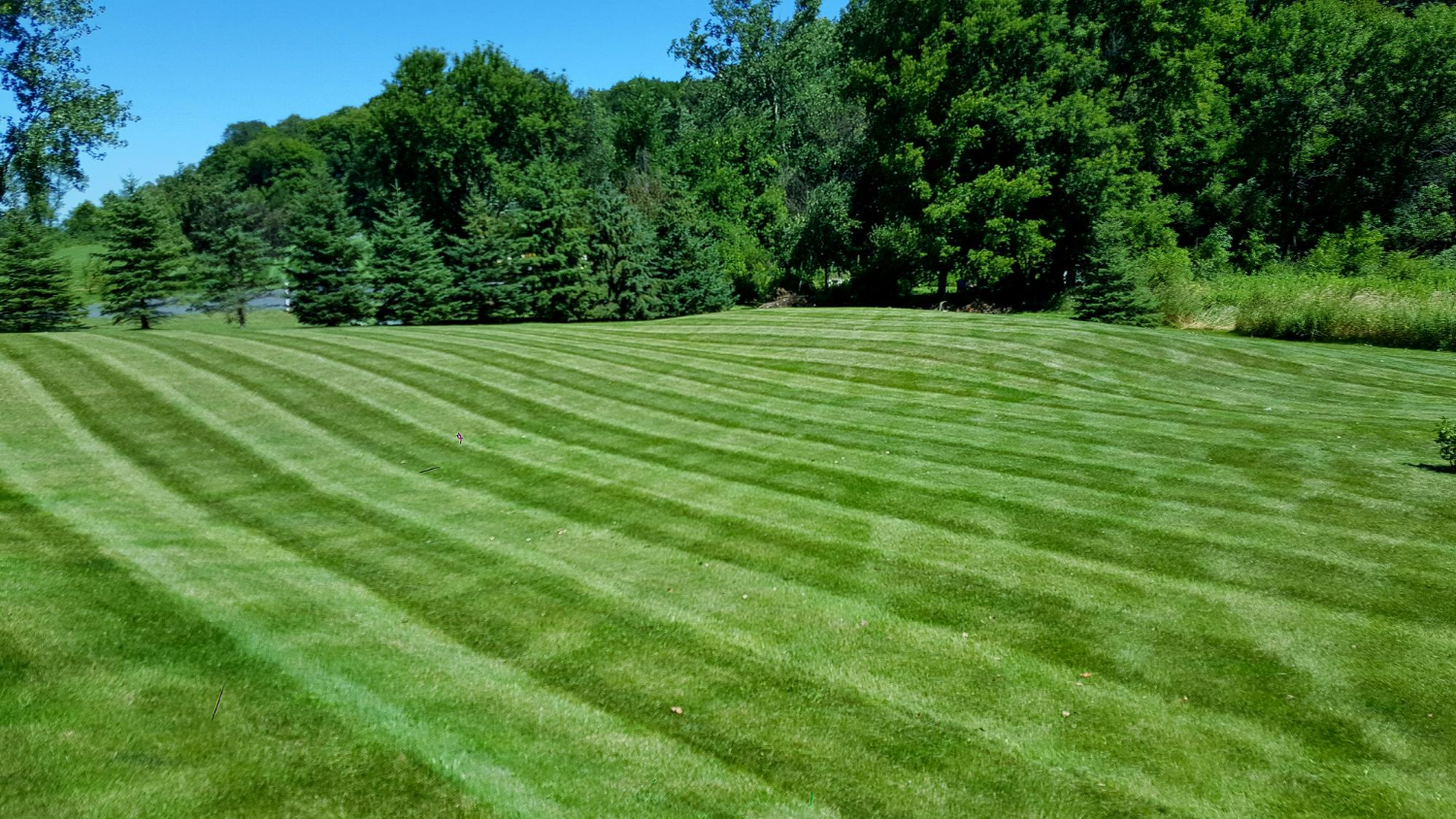 Lawn Care Background