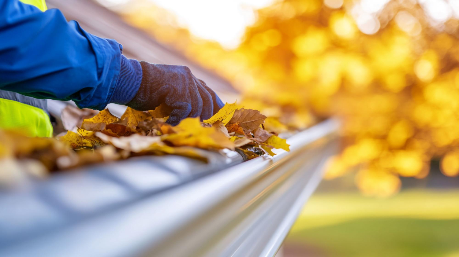 Lawn Care Background
