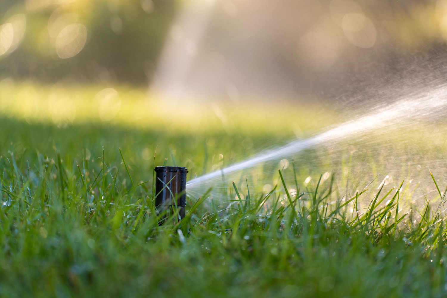 Lawn Care Background