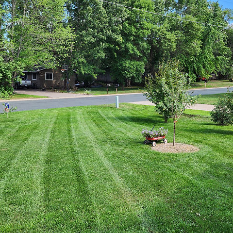 Mowing