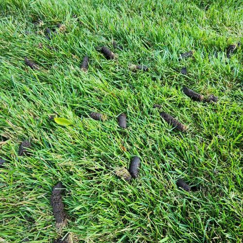 Aeration