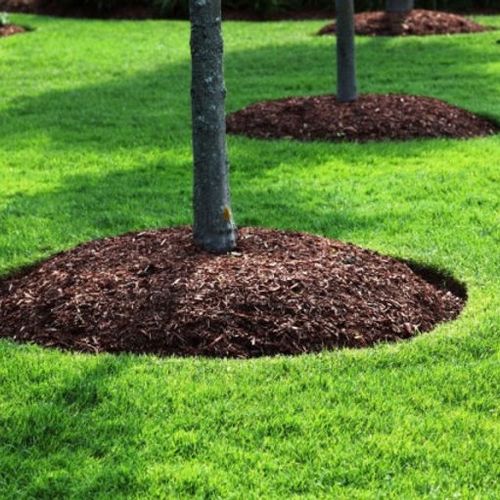 Mulch Bed Maintenance