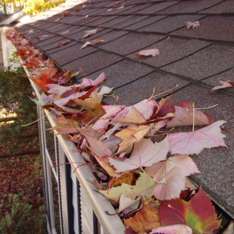 Gutter Cleaning