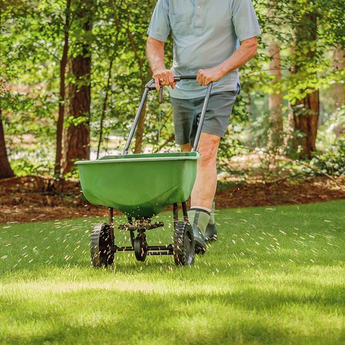 Fertilizing