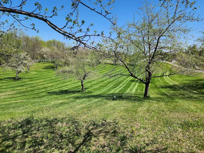 Lawn Care Background